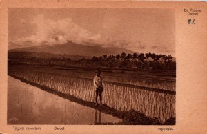 Indonesia Tjigorai Mountain Garoet Java Garut Vintage Postcard 09.84