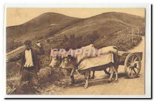 Basque Basque Old Postcard Hitch (oxen)