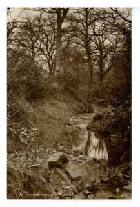 UK - England, Crowborough. In the Forest     RPPC