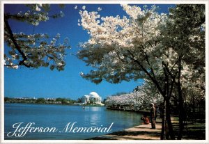 CONTINENTAL SIZE POSTCARD JEFFERSON MEMORIAL WASHINGTON D.C.