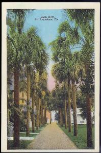 Palm Row St Augustine FL unused c1915