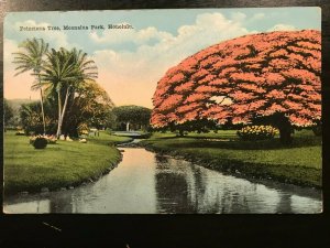 Vintage Postcard 1907-1915 Poinciana Tree Moanalua Park Honolulu Hawaii (HI)