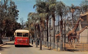 Touring Bus San Diego Zoo, Balboa Park San Diego California  