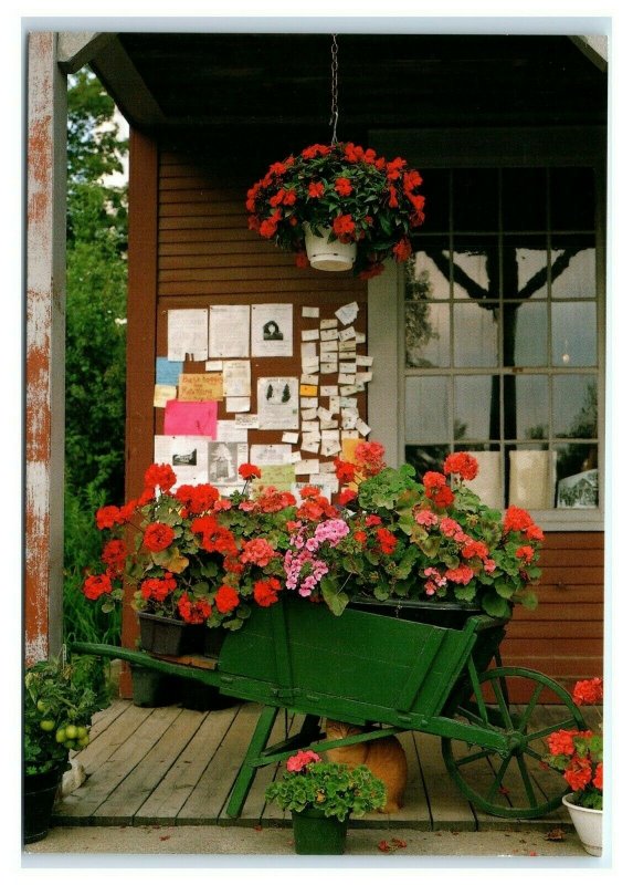 Postcard New England County Store wheel barrow of flowers NES33 K3