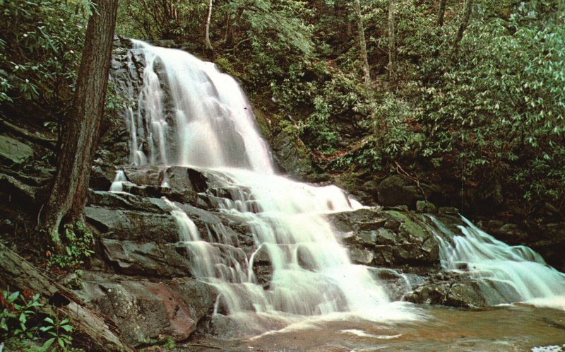 Postcard Laurel Falls Great Smoky Mountains National Park Hikes North Carolina