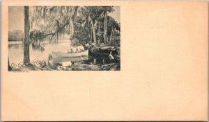 Florida St Johns River Scene Private Mailing Card Albertype