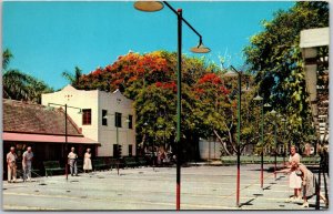 St. Petersburg Florida, Mirror Lake Shuffleboard Court, Poinciana Tree, Postcard