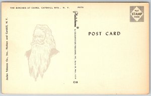Cairo Catskill Mountains Vermont 1950s Postcard The Birches