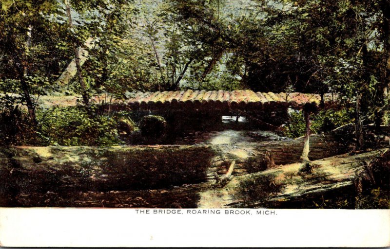 Michigan Roaring Brook The Bridge 1909