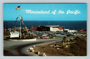 Palos Verses CA-California, Marineland Of Pacific Classic Cars, Chrome Postcard