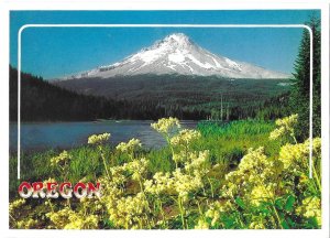 Oregon Mt. Hood from Trillium Lake Mailed 1994  4 by 6