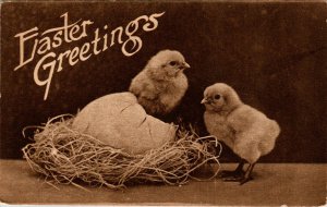 Easter Greetings Chicks