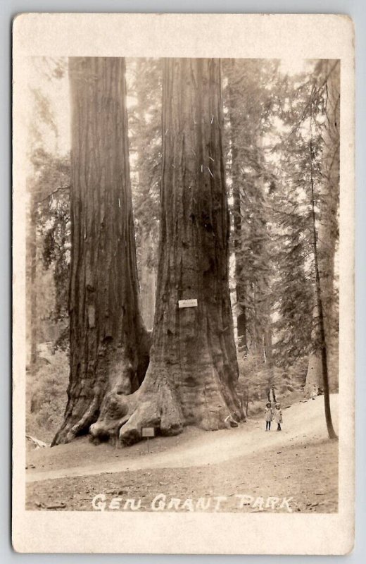 RPPC Twin Sisters Trees Gen Grant Pk Kings Canyon Girls On Road CA Postcard B31