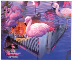 5 X 6 inch,  Flamingo, Las Vegas, Nevada, William Carr