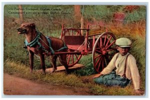 1935 Dog Carriage Old Fashion Transport Quebec Canada Posted Postcard