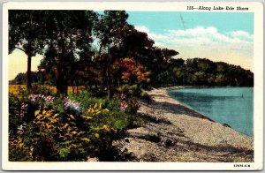 Ohio OH, Along Lake Erie Shore, Lakeside, Plants, Nature View, Vintage Postcard