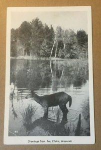 VINTAGE UNUSED RPPC POSTCARD GREETINGS FROM EAU CLAIRE, WISC CREASE BOTTOM LEFT