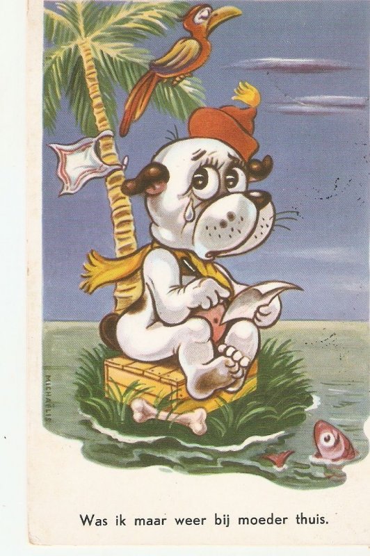 Comic dog lost in islamnd, writing letter Humorous old vintage Dutch postcard