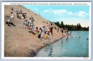 1920's SAUGATUCK MICHIGAN GOSHORN SPRING WATER LAKE PARRISH & SIMONSON POSTCARD