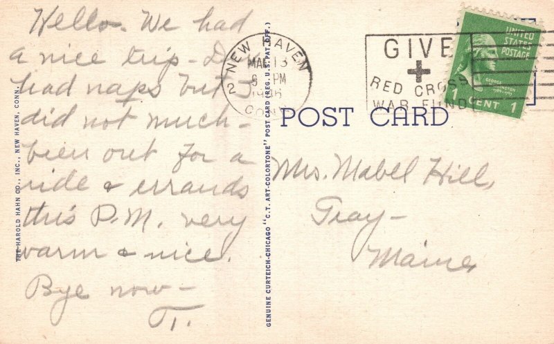 Vintage Postcard 1946 Pardee Rose Garden East Rock Park New Haven Connecticut CT