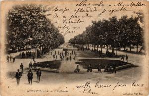 CPA MONTPELLIER - L'Esplanade (511316)