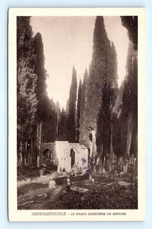 Postcard Turkey Constantinople Le Grand Cimetiere de Scutari Cemetery c1917 H21