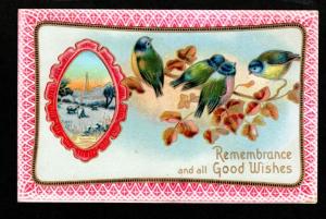 U.S. 1911 Picture Postcard!