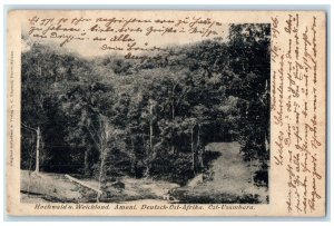 c1906 Amani Deutsch-East-Africa East Usambara Hochwald u Weichland Postcard