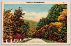 1965 Greetings Fr. Newtown Connecticut Autumn Roadway Attraction Posted Postcard