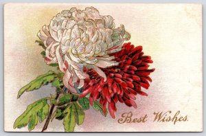 Best Wishes White And Red Dahlias Flowers Greetings & Wishes Postcard