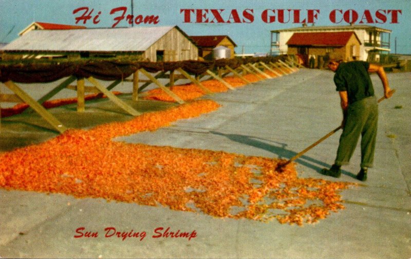 Texas Hi From The Gulf Coast Sun Drying Shrimp