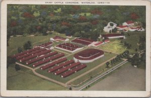 Postcard Dairy Cattle Congress Waterloo Iowa IA