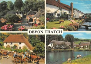 uk44141 devon thatch uk