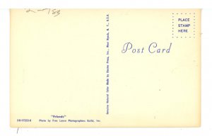 Dogs - Friends Come In All Forms