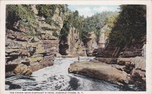 New York Ausable Chasm The Chasm Near Elephant's Head Curteich