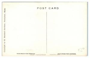 Ash Street, Nantucket, MA Hand-Colored Postcard *5B