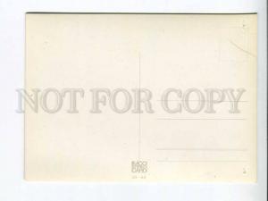 263471 Rhinoceros OLD 3-D Lenticular postcard