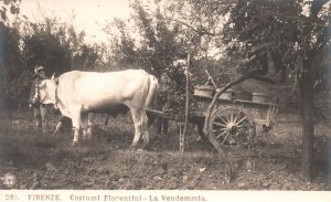 Vintage Postcard Firenze Costumi Florentini La Vendemmia Florence Italy