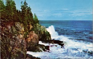 Otter Cliff Bar Harbor Maine Postcard PC393