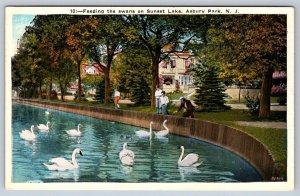 Feeding The Swans On Sunset Lake, Asbury Park New Jersey, Antique Postcard