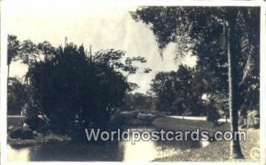 Real Photo Park Rio De Janeiro Brazil Unused 