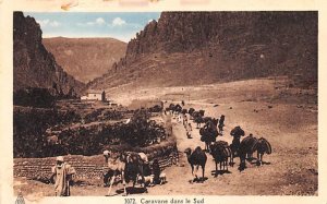 Caravane dans le Sud Egypt, Egypte, Africa Unused 