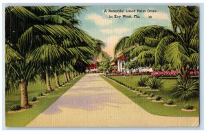 1949 A Beautiful Lined Palm Drive in Key West Florida FL Vintage Postcard 