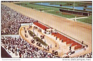 Stadium Type Paddock And Walking Ring At Garden State Park Delaware Township ...