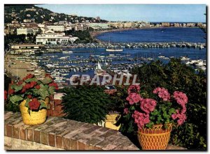 Modern Postcard The Cote d & # 39Azur Cannes Harbor and La Croisette