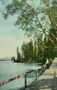 C.1905-10 Lady on Boardwalk, Lake Tahoe, California Vintage Postcard F27