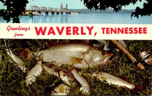 Tennessee Greetings From Waverly Split View