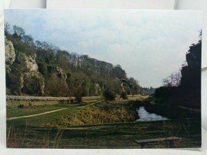 Vintage Postcard Creswell Crags Nottinghamshire