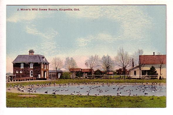 J Miner's Wild Goose Ranch, Kingsville, Ontario,