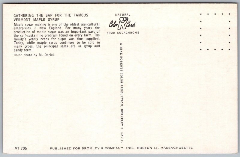 Vtg Vermont VT Gathering The Sap For The Famous Maple Syrup 1950s View Postcard